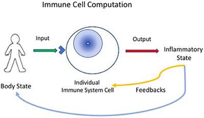 The Immune System Computes the State of the Body: Crowd Wisdom, Machine Learning, and Immune Cell Reference Repertoires Help Manage Inflammation